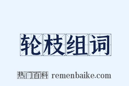 轮枝组词是什么意思的图片
